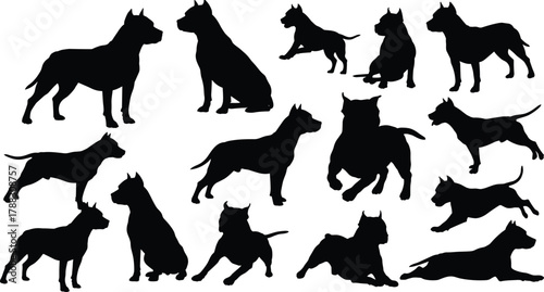 Pitbull dog silhouettes collection in various poses, domestic pet vector illustration, powerful guard animal design for security, training, and educational artwork