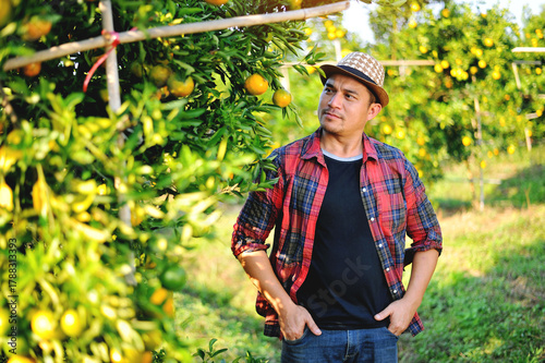 Oranges and Orange Farming Sustainable Agriculture Orange Farmers' Work Orange Cultivation and Orange Harvesting