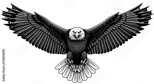 Majestic bald eagle with wings spread wide in a powerful display isolated on white background