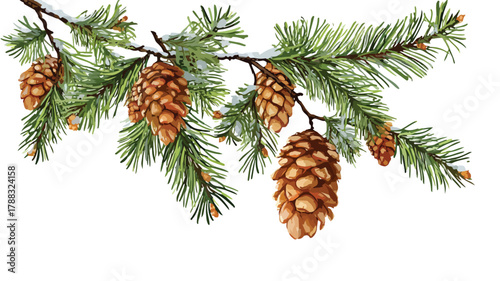 Christmas Pine Tree Branches with Cone for Festive Decoration