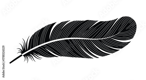 A single black feather with detailed barbs and a slender quill