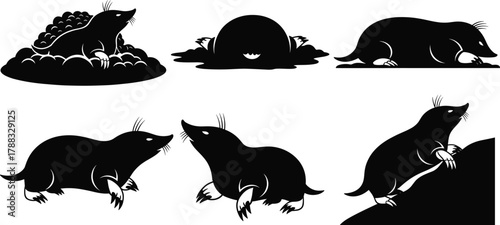 Mole vector illustrations in various poses including burrowing, crawling, walking, and climbing for animal behavior, anatomy, and wildlife studies.