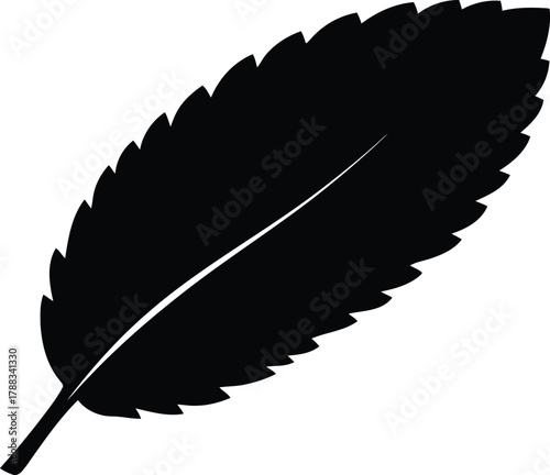 Minimalist black mint leaf silhouette vector graphic isolated