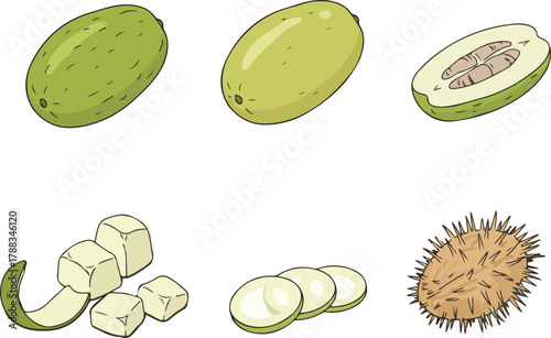 Ambarella Fruit Vector Illustration