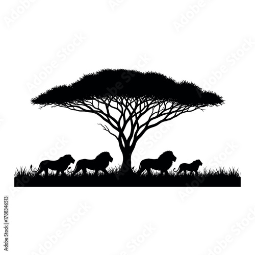 Stunning silhouette of lions under a sprawling acacia tree evokes the spirit of the African savanna and wildlife conservation, perfect for branding or design