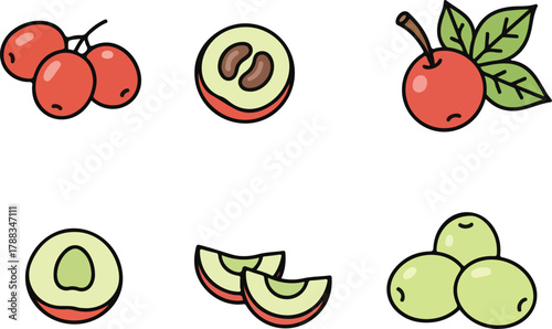 Ginseng Berry Vector Illustration