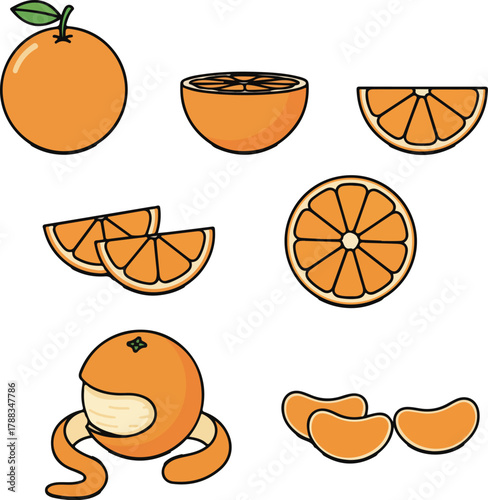 Orange Fruit Vector Illustration