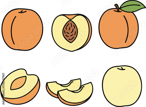 Peach Fruit Vector Illustration
