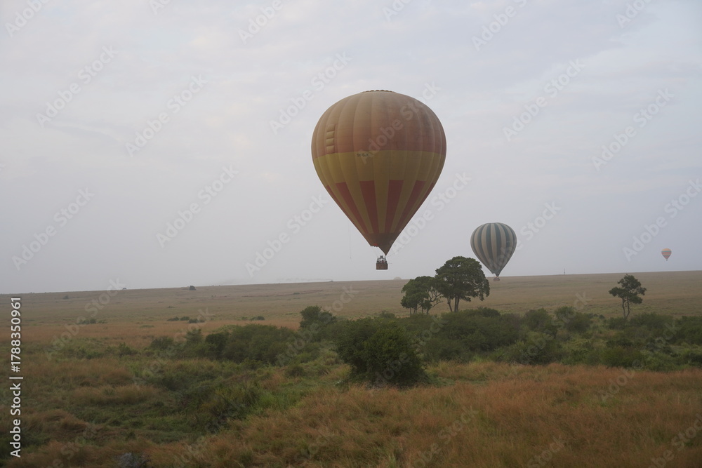 Obraz premium Hot Air Balloon Africa