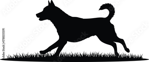 Silhouette of playful dog running on grass in outdoor field, domestic pet animal illustration, nature wildlife design background