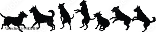 Silhouette of multiple dogs running and jumping together, playful pets, outdoor activity, animal friendship, happiness, energy, and fun lifestyle