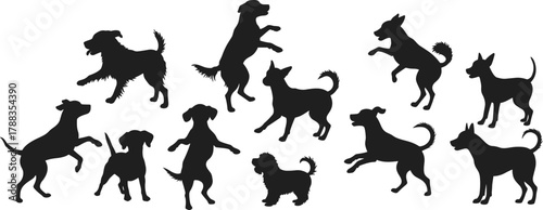 Silhouette group of playful dogs jumping and running together, animal friendship, outdoor fun, pet activity, happy energy, lifestyle concept