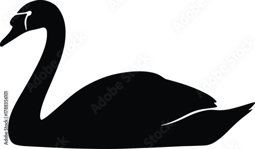 Mute Swan silhouette Mute Swan Silhouette Vector EPS: Graceful Waterfowl Bird Logo & Icon Design