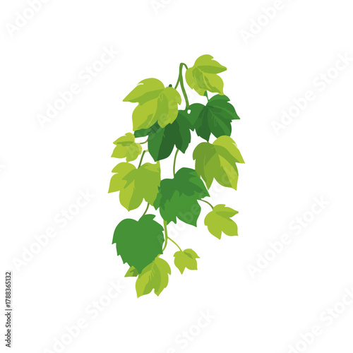 Vibrant Green Vine Leaves on White Background