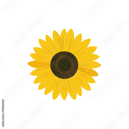 Vibrant Sunflower on White Background Floral Design Element