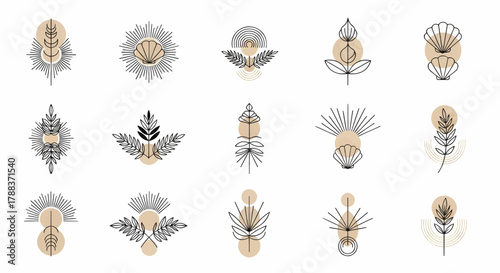 Elegant dried flower and botanical stem illustration set with soft neutral tones for natural decoration and floral design resources