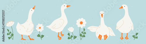Cute white geese or ducks and camomile flowers. Hand drawn farm animals geese with decorative floral elements. Vector illustration for baby shower, Easter, nursery, t-shirt logo, card, poster, invitat