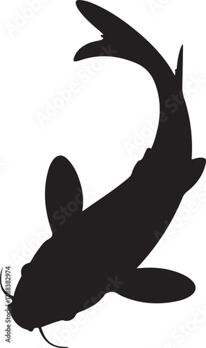 Black silhouette of a koi fish swimming upwards. Vector Black silhouettes. with white background