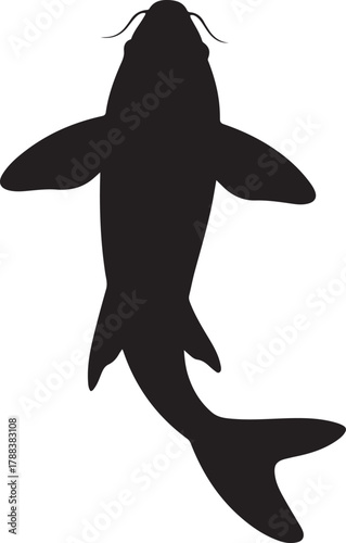 Black silhouette of a koi fish swimming upwards. Vector Black silhouettes. with white background