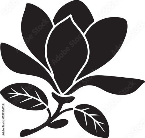 Black illustration of magnolia , flower silhouette vector designs. Vector Black silhouettes. with white background