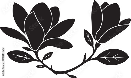 Black illustration of magnolia , flower silhouette vector designs. Vector Black silhouettes. with white background