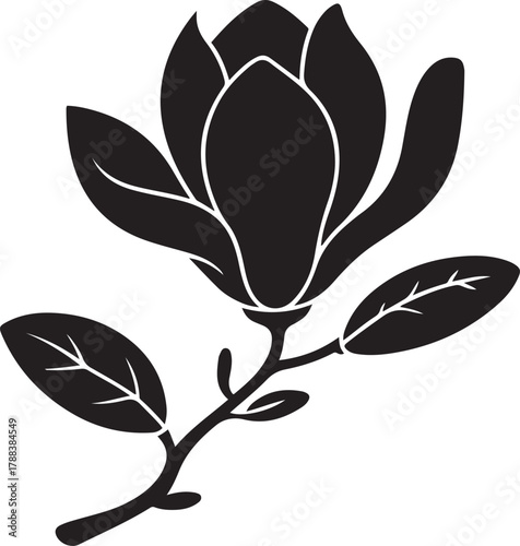 Black illustration of magnolia , flower silhouette vector designs. Vector Black silhouettes. with white background