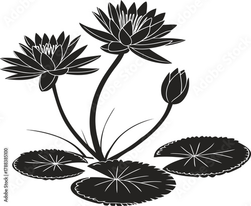 silhouette of lotus flowers and lily pads