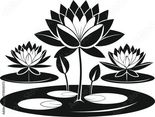 silhouette of lotus flowers and lily pads