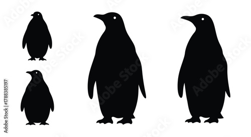 Simple black silhouettes of four penguins of varying sizes are shown