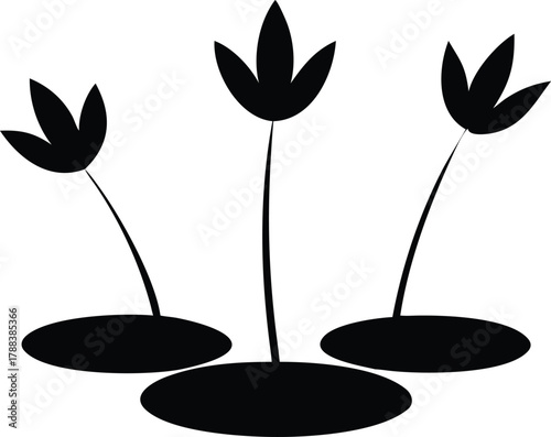 silhouette of lotus flowers and lily pads