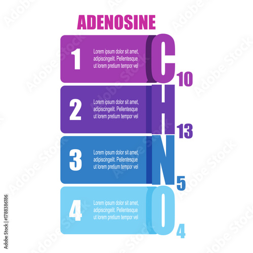 Chemical formula of Adenosine (C10H13N5O4) with four features or option of project to select. Infographic for science and medical information visualization. Purine nucleoside. Energy transfer.
