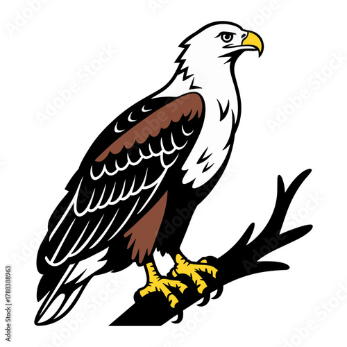 African Fish Eagle