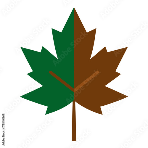 Fotografia Stylized maple leaf divided into green and brown halves