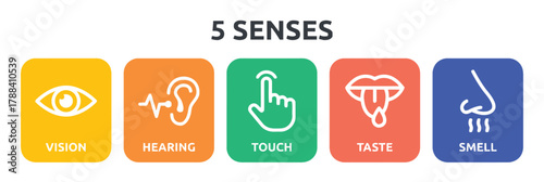 senses, five, human, concept, vision, hearing, touch, taste, smell, icon, symbol, graphic, illustration, design, perception, sensory, information, eye, ear, hand, mouth, nose, yellow, orange, green, c