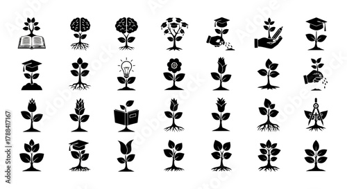 Growth Tree Concept Seedling with Roots Learning Development Ideas Plant Growth Education Success Symbol Vector Illustration Isolated