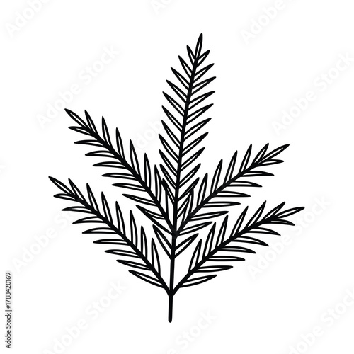 cannabis leaf vector illustration
