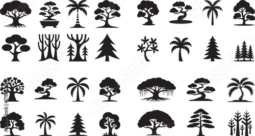 Large Vector Tree Silhouette Collection: Forest, Tropical Palm, Pine, Bonsai, and Organic Nature Graphics