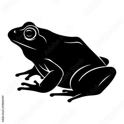 Black silhouette of a frog on a white background amphibian