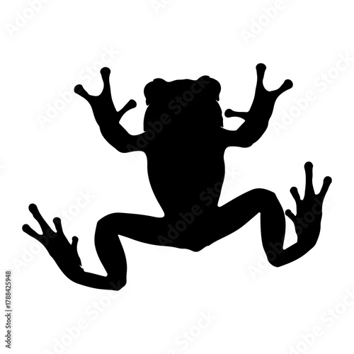 Black Silhouette of a Frog with Spread Legs amphibian