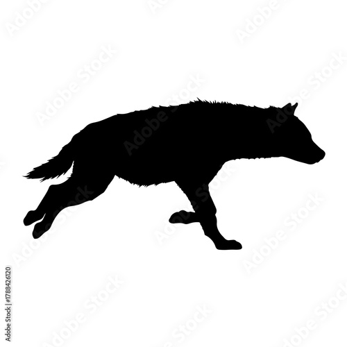 Black silhouette of a hyena running on a white background