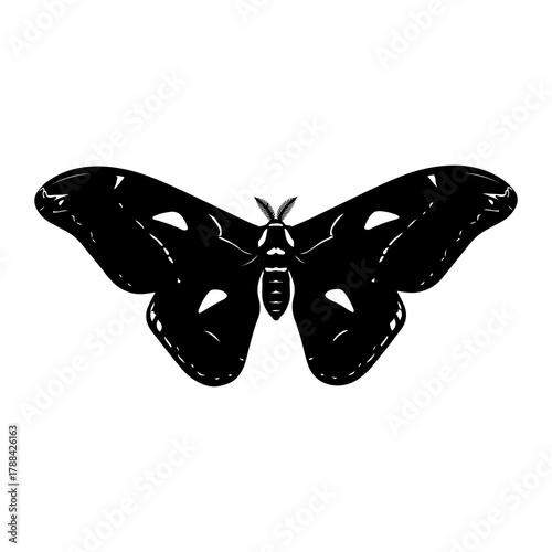 Black Silhouette of a Large Moth with Open Wings butterfly