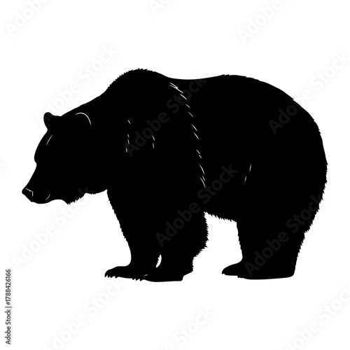 Black silhouette of a large grizzly bear standing sideways