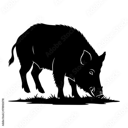 Black Silhouette of a Wild Boar Foraging in Grass animal