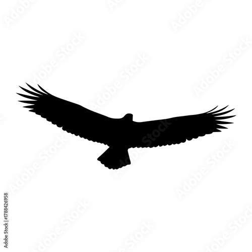 Black silhouette of an eagle with wings spread wide in flight on a white background