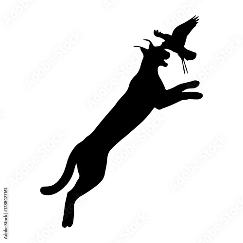 Caracal and Bird Silhouette in Action on White Background Keywords: caracal, wild cat, feline