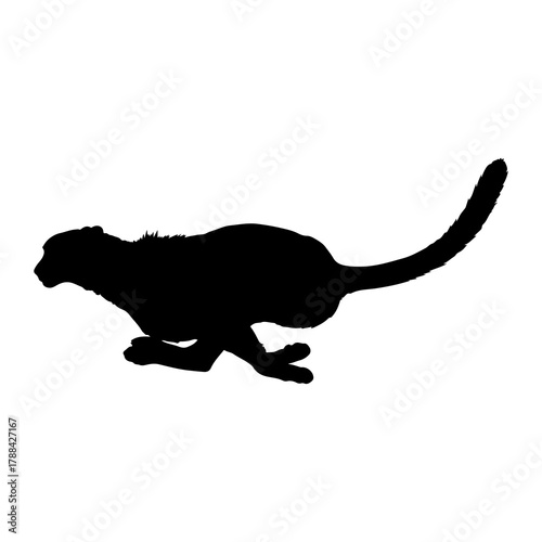Cheetah Running Silhouette black and white animal