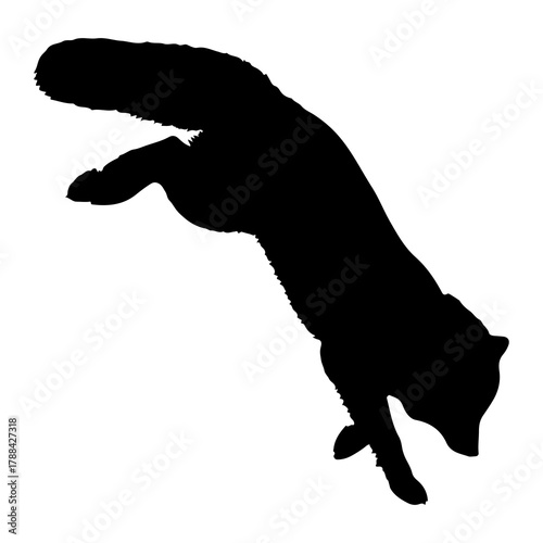 Fox jumping silhouette leaping animal