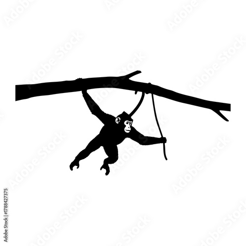 Gibbon swinging on tree branch with rope silhouette