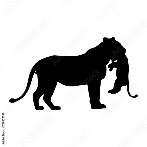Lioness carrying cub silhouette animal wildlife