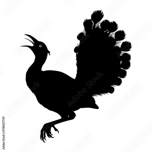 Peacock displaying tail silhouette bird animal